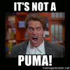 its-not-a-puma.jpg its-not-a-puma.jpg