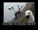 thumb_youre-fucking-next-the-brutal-seagull-by-infidelcastrato-follow-4-64672088.png