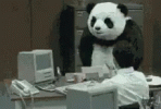 panda-making-a-mess.gif
