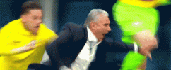 tite-brazil.gif
