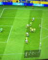 IMG_2433.gif