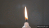 1jOF-B.gif