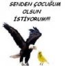 Sergen 10