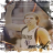nowitzki