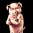 angrypig