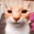 _erick_14_11_