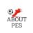 About PES ID